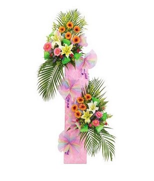 Congratulatory stand of gerberas, lilies and leaves