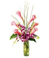 6pcs Purple Orchids with Tropical Flowers in a Vase