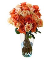 Dozen of our orange and peach roses in Bouquet