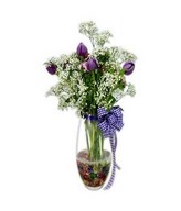 10 Purple Tulip In Glass Vase