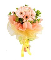 12 Soft Pink Gerberas in a bouquet