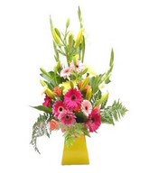 Arrangement of Gerberas, Lily and leaves in vase