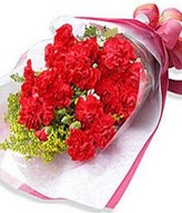 10 Stem of red Carnation in Bouquet