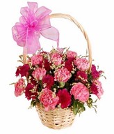 12 Pink Carnations with Fillers in a Basket