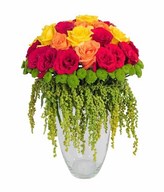 Red rose, yellow rose, orange rose, amarantus, Green Puma in glass vase