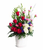 Arrangement of Red and white roses, with Pink Carnation and Fillers in White Ceramic Vase