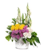 Arrangement ofmixed roses consist with purple, yellow and white with white snap dragon in vase