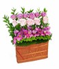 Arrangement of soft pink and Purple roses with mixed carnatin and green puma in basket