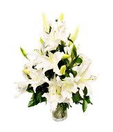 White Lilies Arrangement in Vase