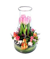 4 stalks Pink Tulip in Glass