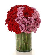 3 Dozen of Red and Purple Roses in a Vase 