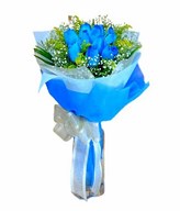 12 Blue Roses Hand Bouquet