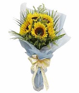 5 Sunflowers Hand Bouquet