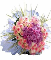 20 stalks of yam roses with 48 stalks of centre pink roses in round posy