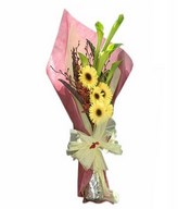 Green calla lilies with cream Gerberas and Anne Black