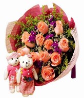 12 Pink Roses with Couple Bears and Fillers