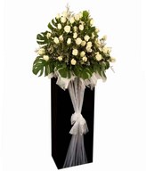 White Roses With Caspia arranged on a Box stand With White Tile Fabric