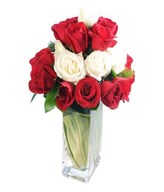 Vase Arrangement of Red & White Roses