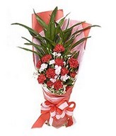 Mixed Carnation Bouquet