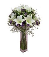 White Oriental Lilies in Vase