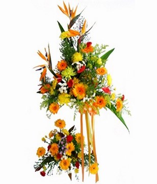 Perfect combination of Birds-of-Paradise, Daisy, Anthurium, Carnation and Chrysanthemum