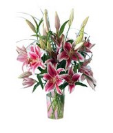 Pink stargazer lilies in a bouquet