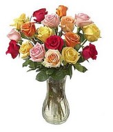 Posy of roses in colorful hues