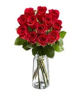 Posy of red roses