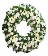 Wreath arrangement of white roses